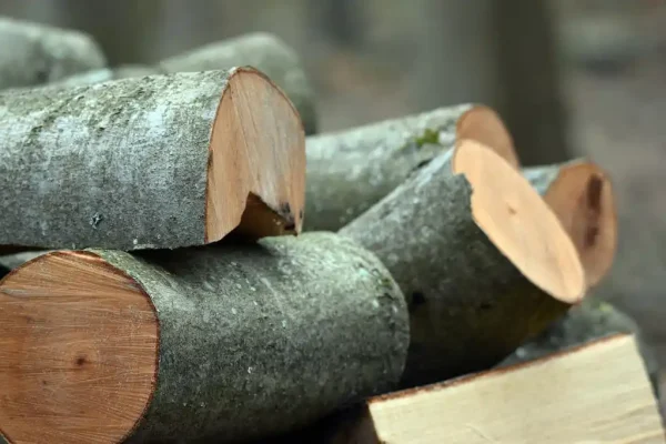 https://siadvpellet.us/ Beech Firewood