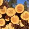 https://siadvpellet.us/ Yellow Southern Pine Logs