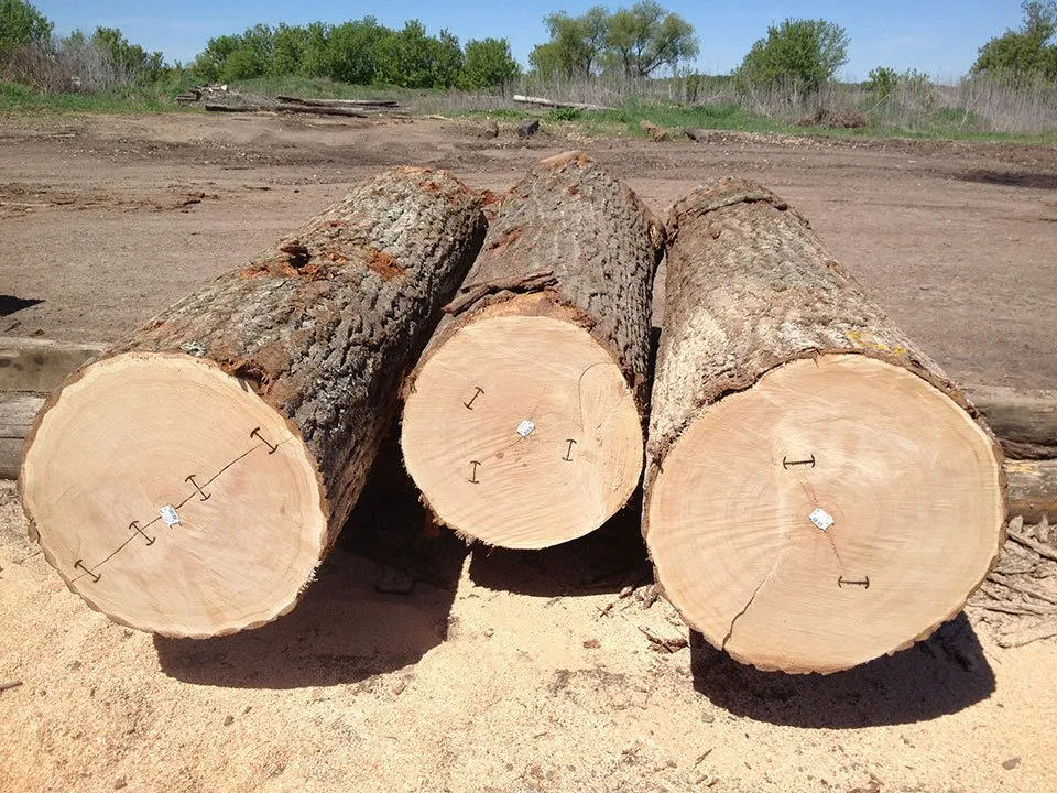 https://siadvpellet.us/ https://siadvpellet.us/ Red & White Oak Logs