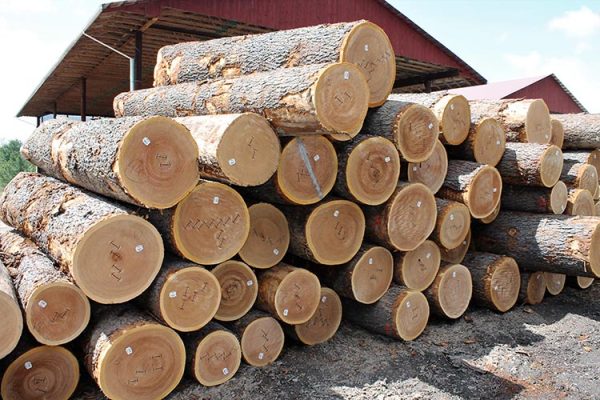 https://siadvpellet.us/ Red & White Oak Logs