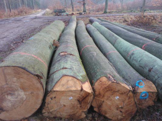 https://siadvpellet.us/ European Beech Logs & Lumber