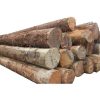 https://siadvpellet.us/ Pine Spruce Birch Oak Ash Timber